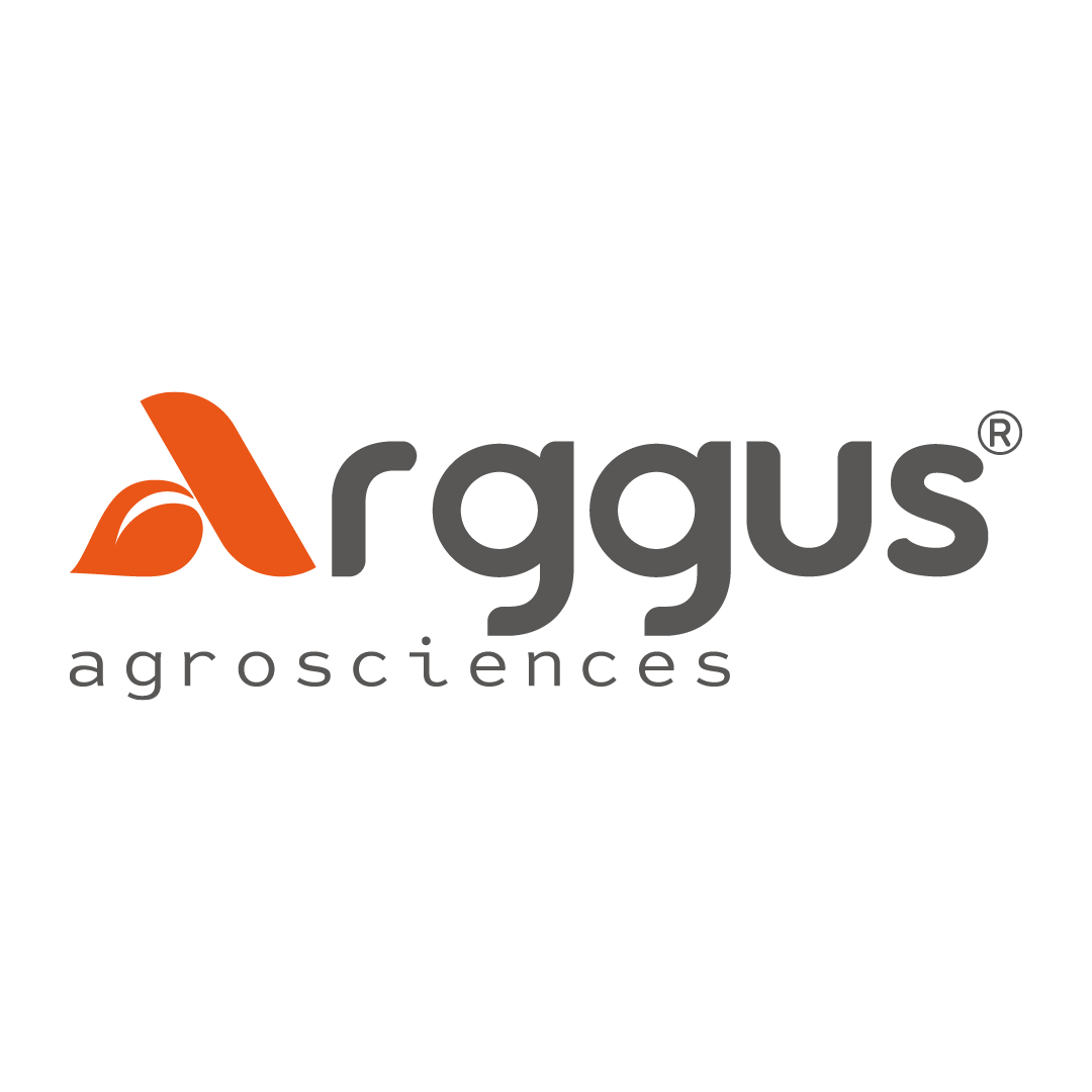 Arggus